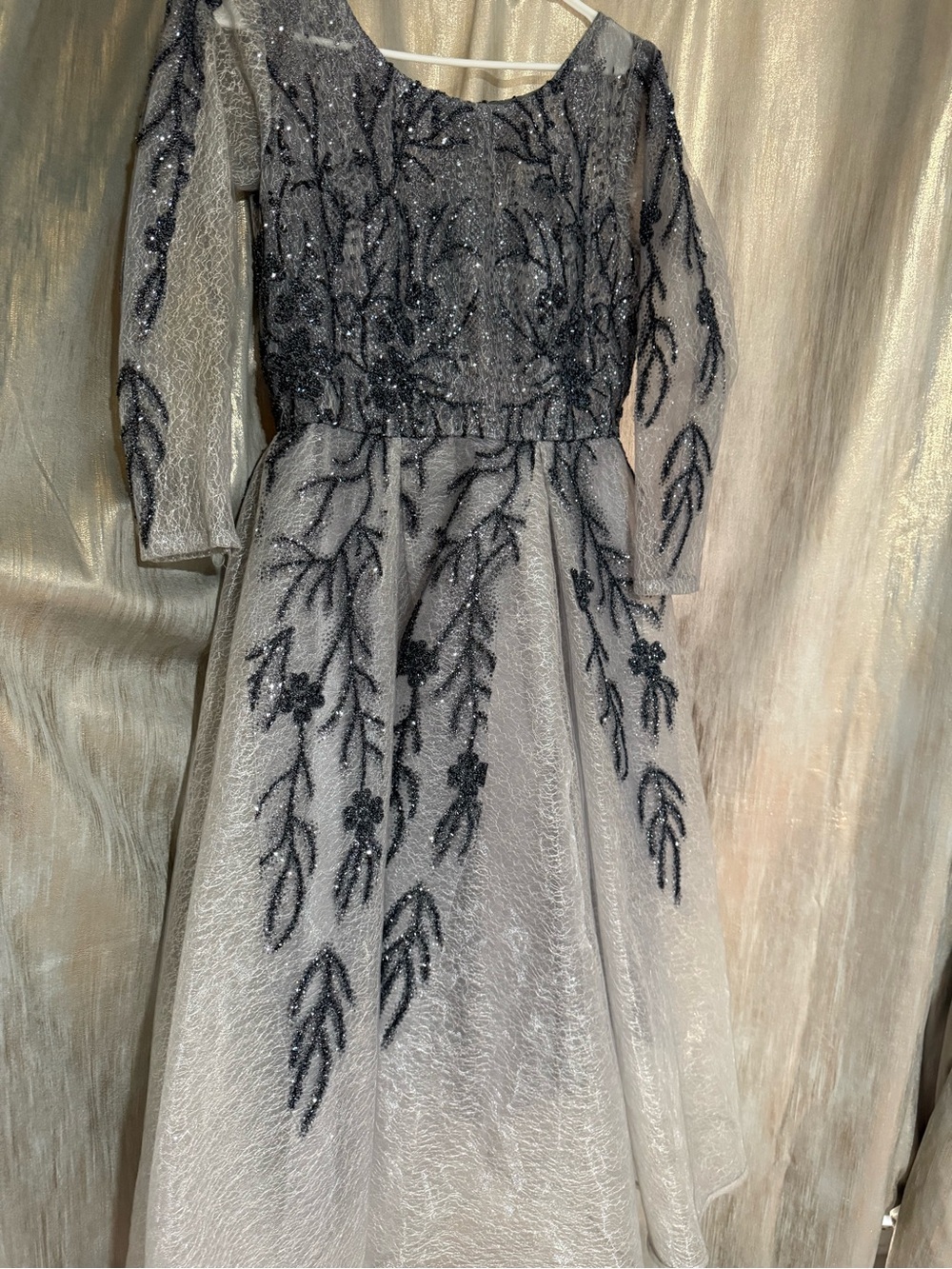 Elegant Silver-navy blue Embroidered Evening Dress